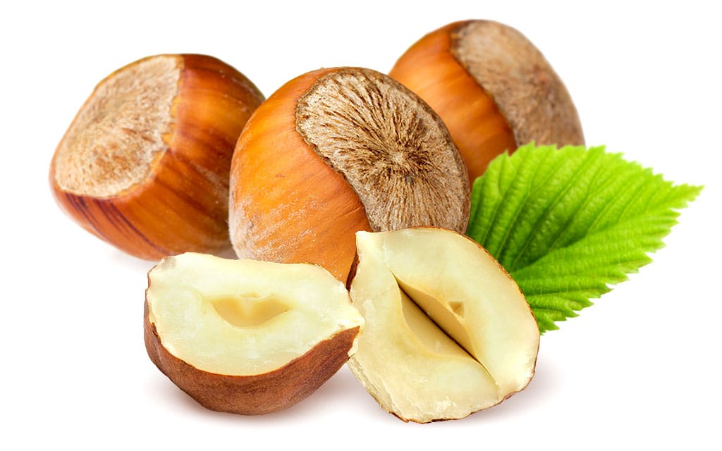 काजू-बादाम से ज्यादा ताकतवर निकला ये ड्राई फ्रूट, सूखी पसलियों पर चढ़ा देगा मांस, आखिरी सांस तक रहेंगे जवान।