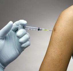 मप्र- नीमच अस्पताल में एंटीबायोटिक इंजेक्शन के बाद 19 बच्चों की हालत बिगड़ी, परिजनों में हड़कंप!