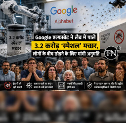 Google अल्फाबेट का अनोखा प्रयोग: 3.2 करोड़ खास मच्छरों को आबादी में छोड़ने की तैयारी, मांगी सरकारी मंजूरी।
