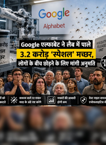 Google अल्फाबेट का अनोखा प्रयोग: 3.2 करोड़ खास मच्छरों को आबादी में छोड़ने की तैयारी, मांगी सरकारी मंजूरी।