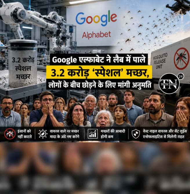 Google अल्फाबेट का अनोखा प्रयोग: 3.2 करोड़ खास मच्छरों को आबादी में छोड़ने की तैयारी, मांगी सरकारी मंजूरी।